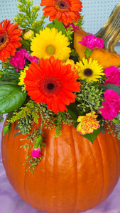 Blooming Pumpkins "Vibrant Harvest" | Fall Floral Collection